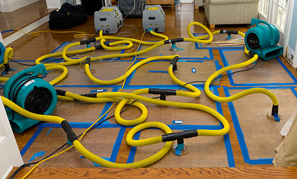 Professional Basement Flood Cleanup technician working in Boston, IN